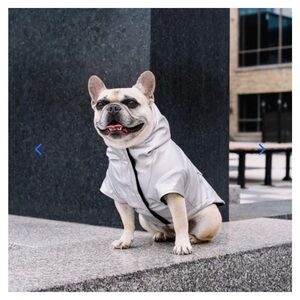 Canada Pooch Coldfront Raincoat 16” Silver Dog Coat